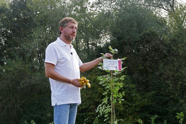 Piantare nuovi alberi per ridare ossigeno alle città