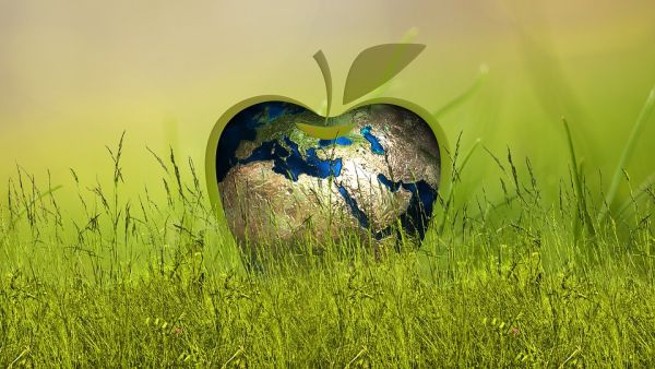 Le strategie per rispettare gli obiettivi di decarbonizzazione al 2030