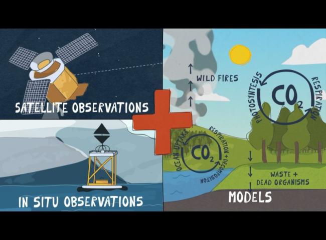 Sistema di monitoraggio delle emissioni antropogeniche di CO2