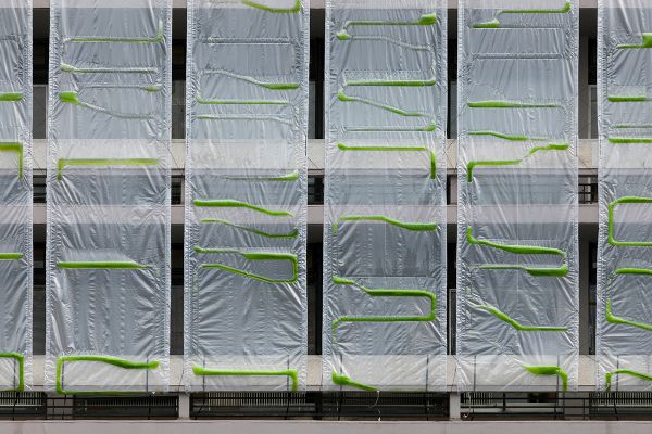 La bioplastica che cattura la CO2