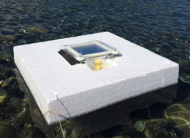 Innovativa tecnologia che rende potabile l’acqua del mare grazie al sole