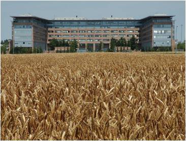 Energia ecocompatibile all’Ateneo di Bologna