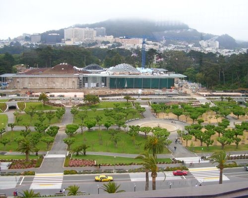 California Academy of Sciences 1