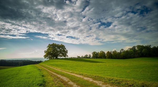 Un Master per specializzarsi in sustainable development jobs