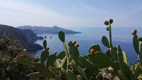 26 isole avviano la transizione verso l’energia pulita
