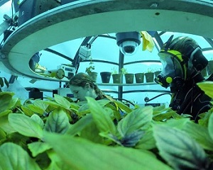 Coltivazioni subacquee in biosfere: la sfida del Giardino di Nemo