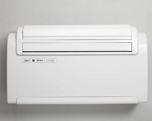 Climatizzatore senza unità esterna  UNICO TWIN