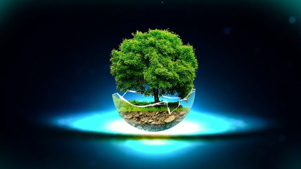 Green deal europeo: emissioni zero nel 2050 e Piano investimenti per 260 miliardi all’anno