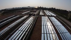 Energia rinnovabile per muovere le industrie