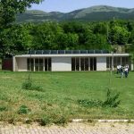 “La Velocca”: asilo bio per i pulcini dell’Abruzzo