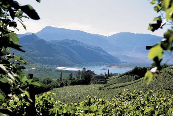 La green valley