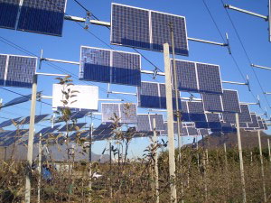 A ogni parmense, un cappello fotovoltaico