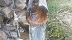 Water Management Report
