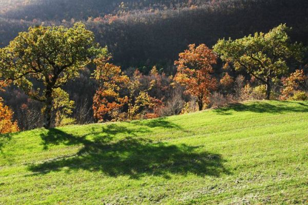 Energie rinnovabili e turismo sostenibile per il Villaggio dl Sole e del Vento