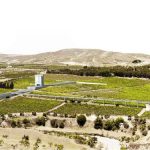 L’energia di un vigneto