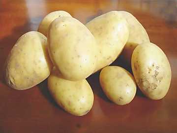 Le patate che danno ‘energia’