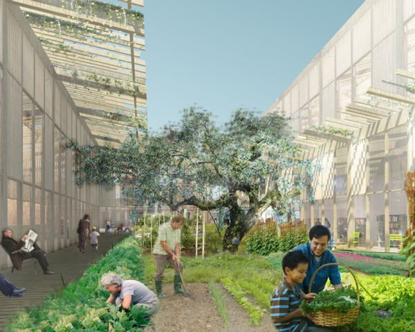 VERSO UN ECOSISTEMA URBANO. Visioni per la città sostenibile 7