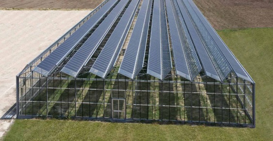 Efficienza energetica, rinnovabili e innovazione in agricoltura 5