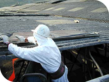 Emilia Romagna: contributi per rimuovere l'amianto e installare impianti fotovoltaici 12