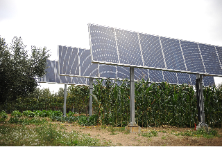 Acqua Terra Sole: impianto fotovoltaico che recupera l’acqua per coltivare il terreno