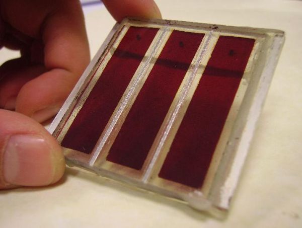 Dai frutti di bosco all’industrializzazione, il fotovoltaico si rinnova