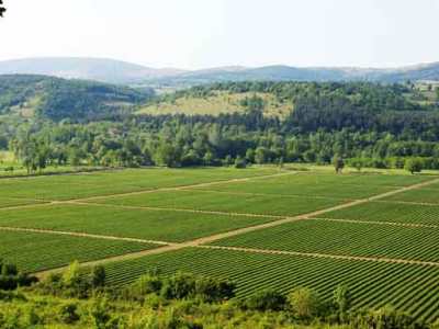 Enea-CRA, accordo di collaborazione per lo sviluppo dell’efficienza energetica