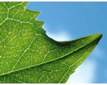 Clini: rinnovabili risorsa per l’economia. Associazioni: norme in tempi brevi