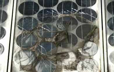 I pannelli fotovoltaici tra i rifiuti elettronici della nuova direttiva europea