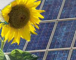 Nuovo impianto fotovoltaico Nestlé a Benevento