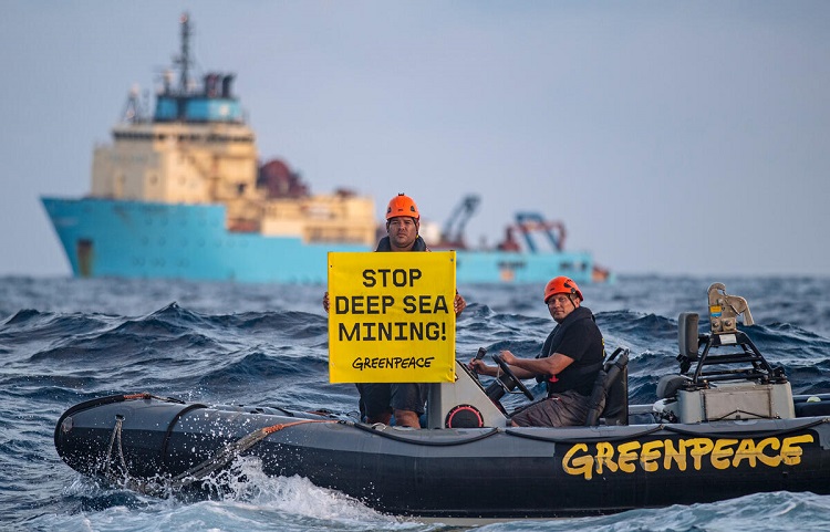 Greenpeace per la difesa di Mare e Oceani