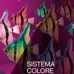 Rivestimenti colorati per sistema a cappotto