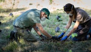 Forestami, tre milioni di piante entro il 2030