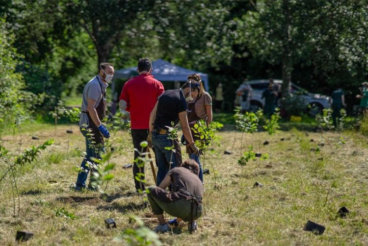 Forestami, tre milioni di piante entro il 2030