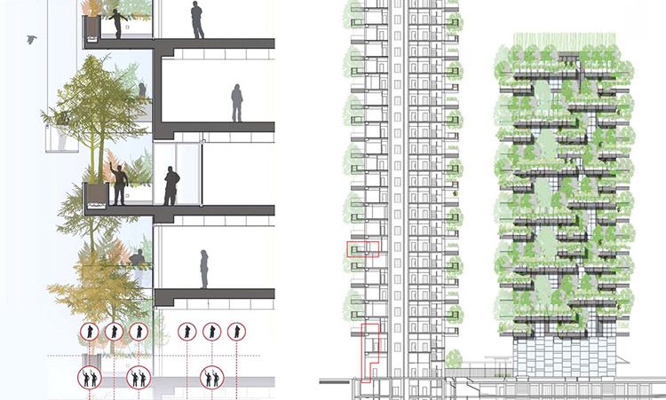 Bosco Verticale a Milano, sezione