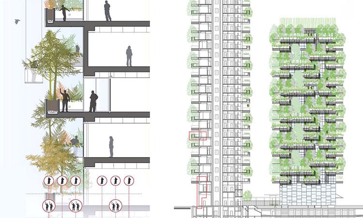 Bosco Verticale a Milano, sezione