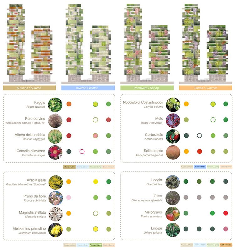 Le specie arboree del Bosco Verticale di Boeri 