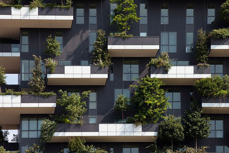 Bosco verticale a Milano, l'involucro vegetale