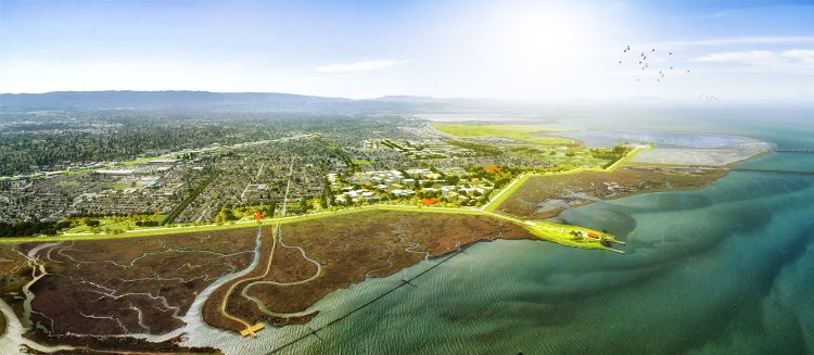 Recupero resiliente della Baia di San Francisco: l’area progettuale di South Bay Sponge