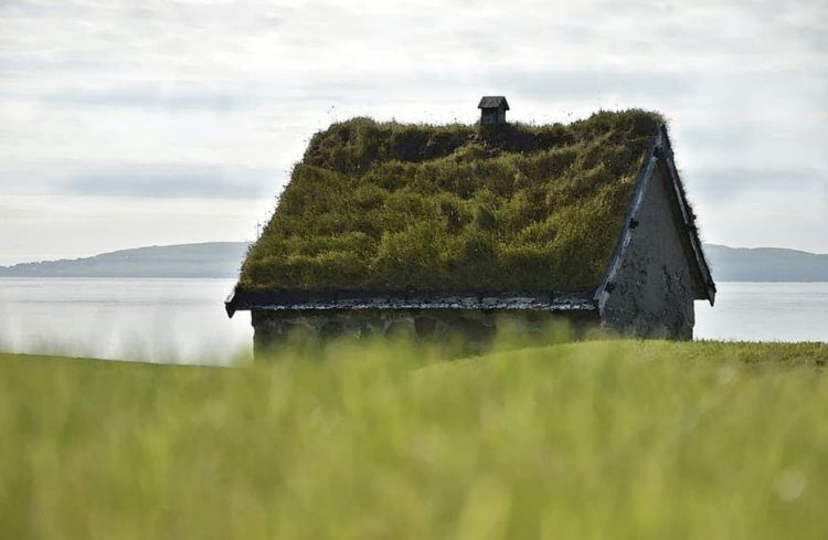 5 edifici di cui il vero protagonista è il verde