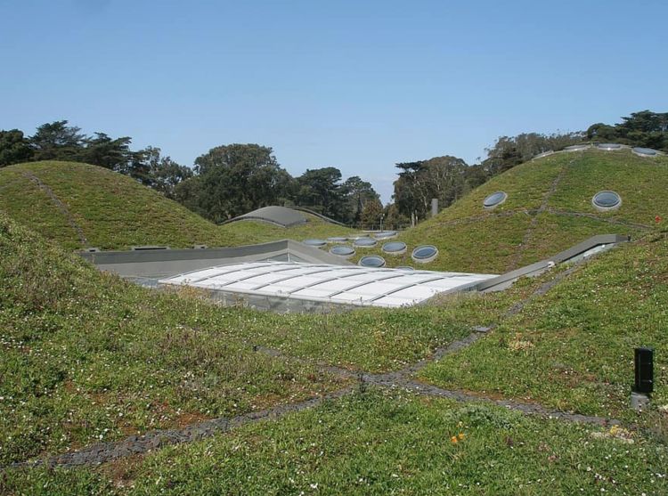 California Academy of Science, Renzo Piano