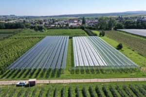 Fotovoltaico e agricoltura, una sinergia vincente