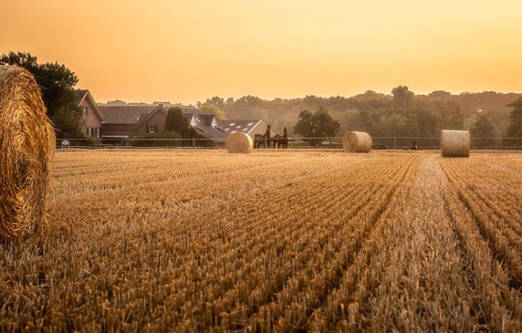 Paglia: materiale naturale adatto alla costruzione di case passive