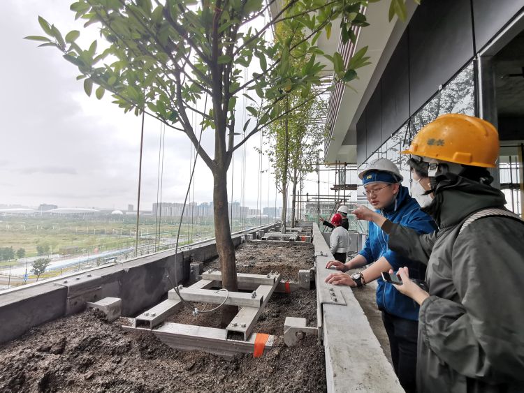 Primi alberi piantumati nel Bosco verticale di Nanjing in Cina