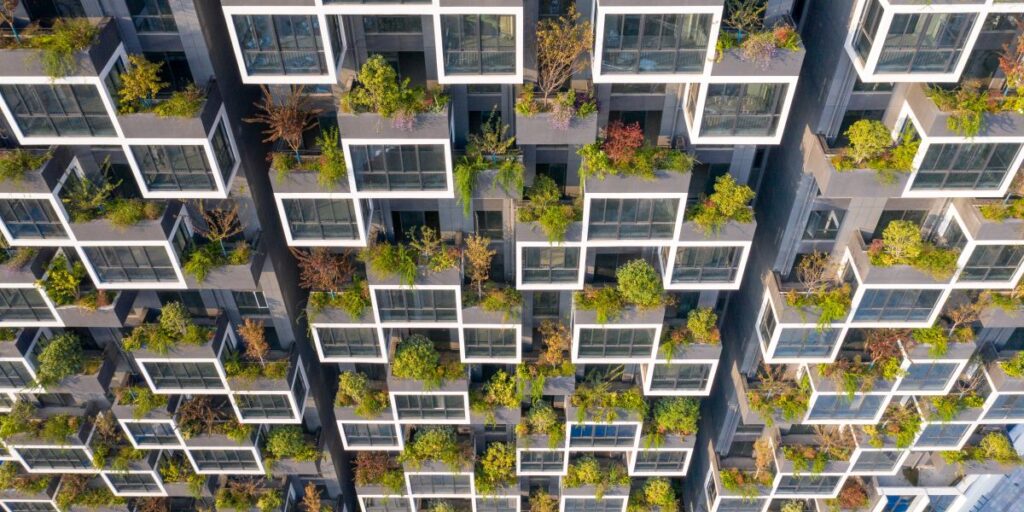 Gli alberi e gli arbusti del Bosco Verticale di Boeri in Cina a Huanggang