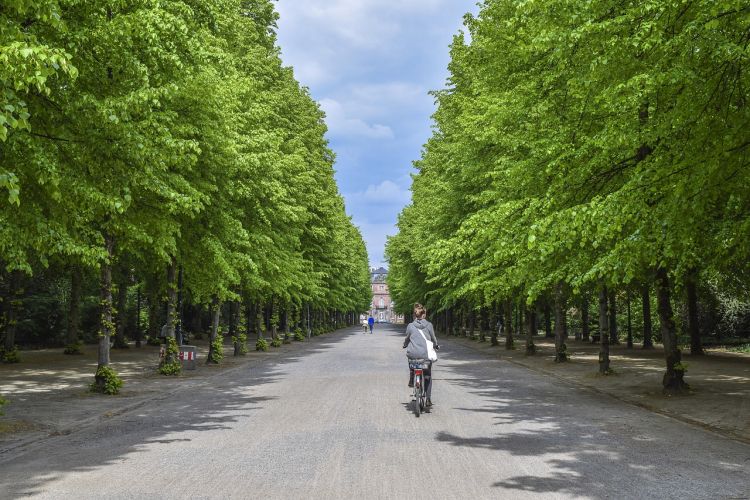 Forestazione urbana, pubblicato l'avviso pubblico per il finanziamento dei progetti