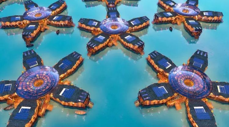 Concorso Lagos: city of water, progetto The sea stars