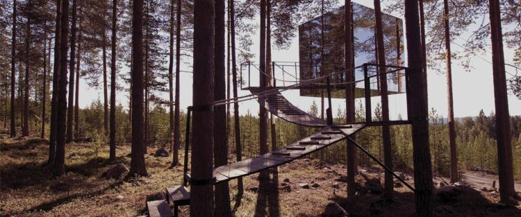 Hotel sull'albero in Svezia: cubo rivestito di specchi Mirrorcube.