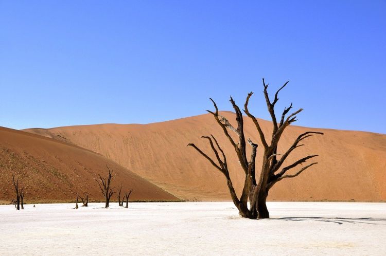 Il 2020 sulla buona strada per essere tra gli anni più caldi di sempre