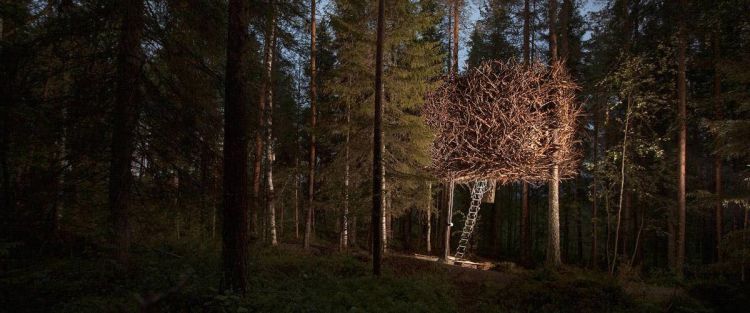 Tree Hotel ad Harads in Svezia, una casa sull'albero a forma di nido d'uccello