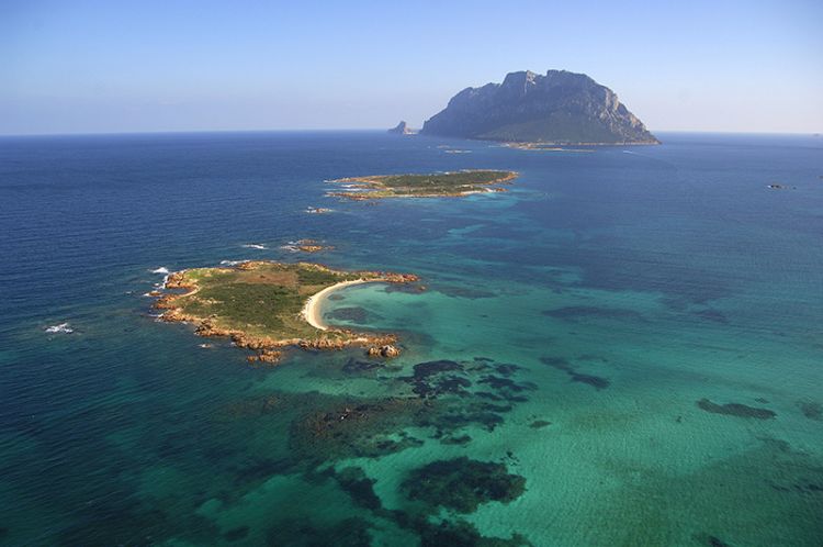 Area marina protetta Tavolara, Isole Cavalli e Piana